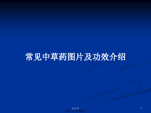 常见中草药图片及功效介绍PPT教案