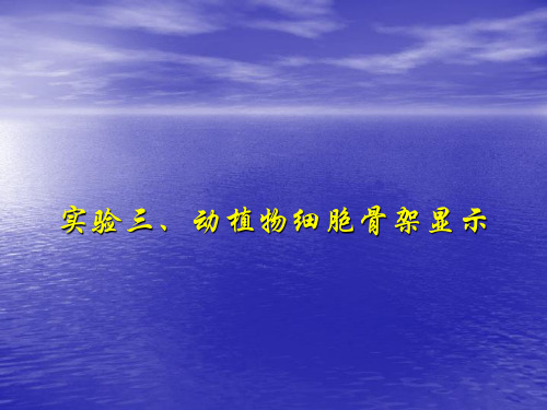 细胞生物学实验三细胞骨架显示