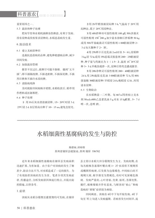 水稻细菌性基腐病的发生与防控