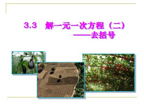 3.3 一元一次方程--去括号