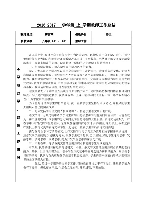 2016-2017上学期教学总结