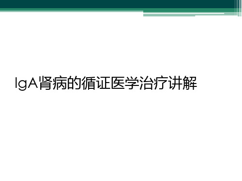 IgA肾病的循证医学治疗讲解【33页】