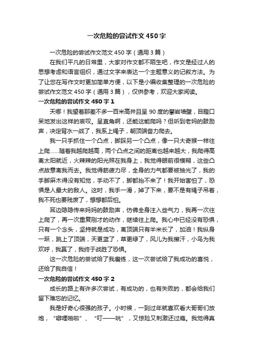 一次危险的尝试作文450字