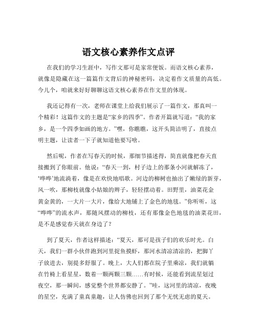 语文核心素养作文点评