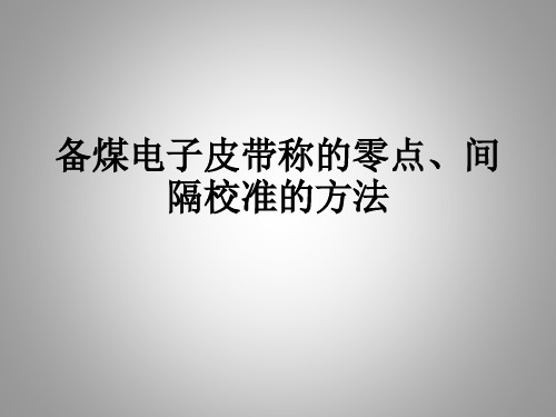 备煤电子皮带秤零点、间隔校准的方法