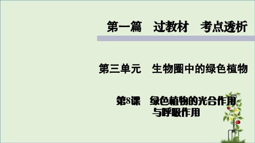人教版七年级上册生物知识点精讲课件绿色植物的光合作用