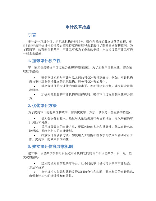 审计改革措施