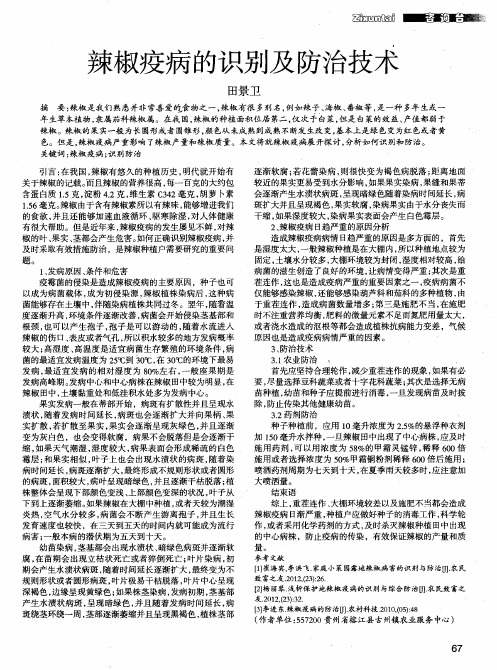 辣椒疫病的识别及防治技术