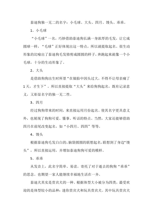 泰迪狗独一无二的名字