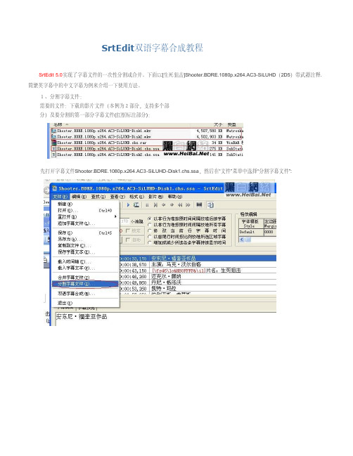 SrtEdit双语字幕合成教程