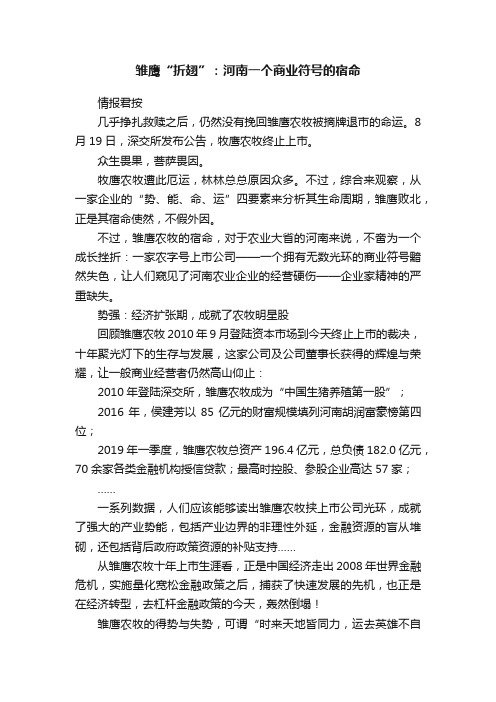 雏鹰“折翅”：河南一个商业符号的宿命