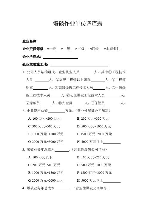 爆破作业单位调查表10.30