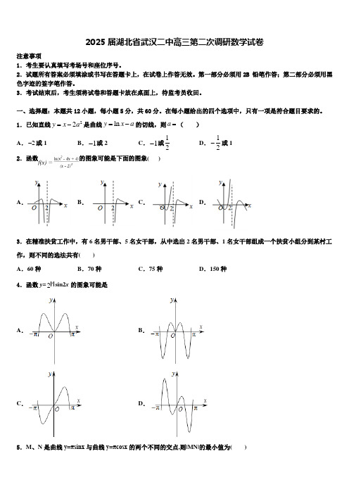 2025届湖北省武汉二中高三第二次调研数学试卷含解析