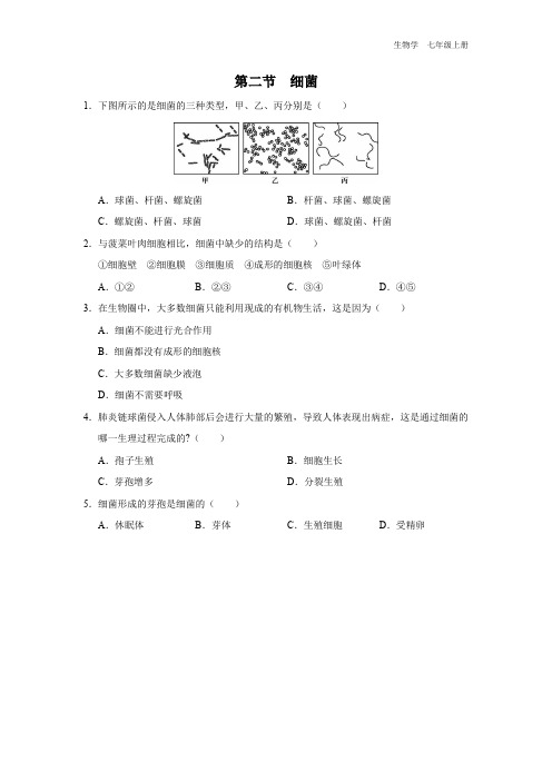 七年级-人教版(2024新版)-生物-上册-[基础诊断]初中生物学-七年级上册-第三章第二节-细菌