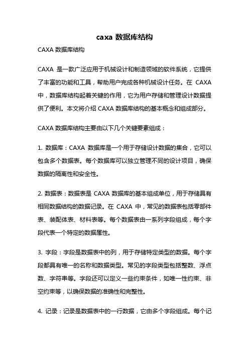 caxa 数据库结构