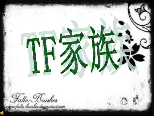 TF家族