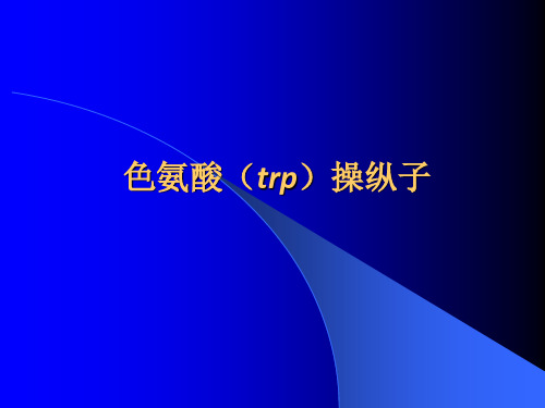 色氨酸(trp)操纵子