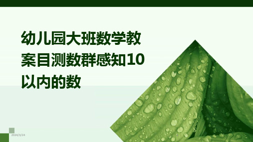 2024年度幼儿园大班数学教案目测数群感知10以内的数(1)