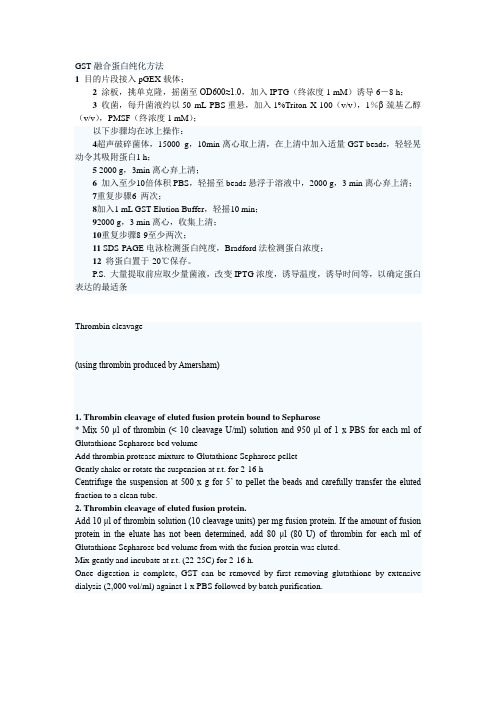 GST融合蛋白纯化方法