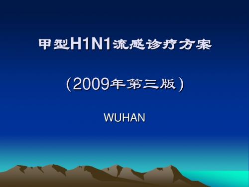 甲型H1N1流感诊疗方