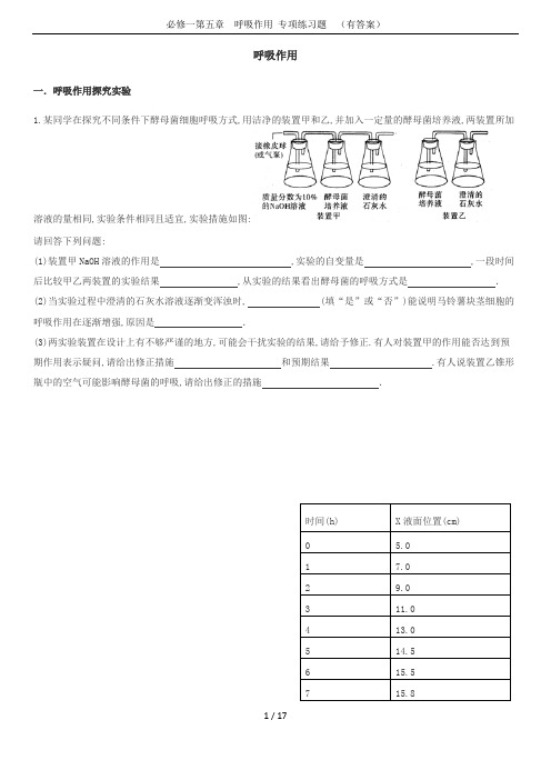 必修一第五章  呼吸作用 专项练习题  (有答案)