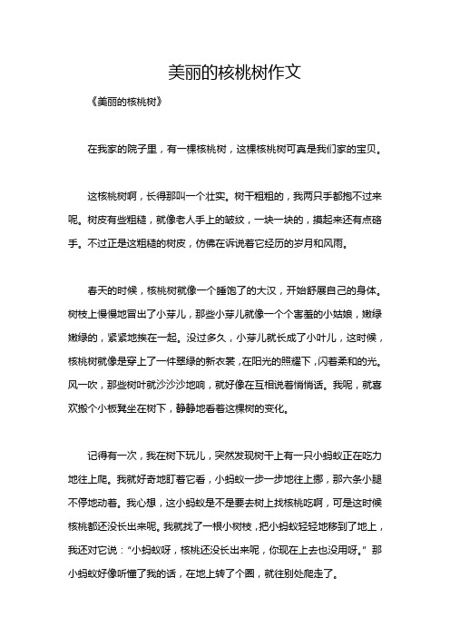 美丽的核桃树作文