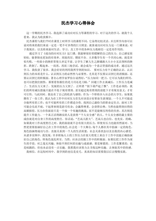 民杰学习心得体会