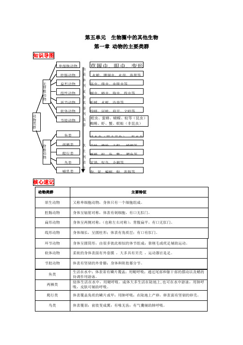 2019最新人教版八年级上册生物中考考点精华识记(思维导图版)