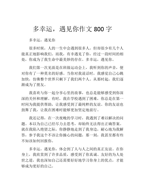 多幸运,遇见你作文800字