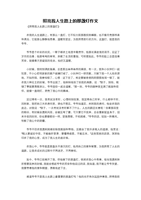 照亮我人生路上的那盏灯作文