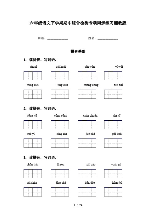 六年级语文下学期期中综合检测专项同步练习湘教版