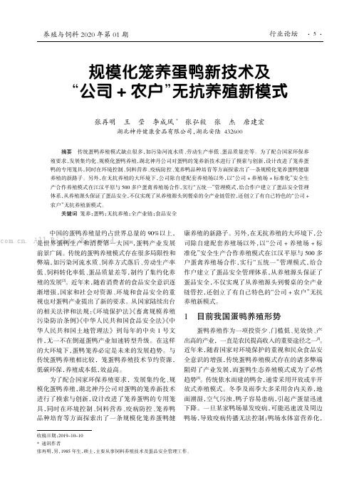 规模化笼养蛋鸭新技术及“公司+ 农户”无抗养殖新模式