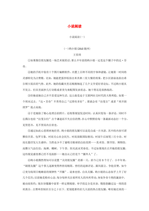 2019年中考语文复习专题一文学作品阅读(散文小说)小说阅读(一)