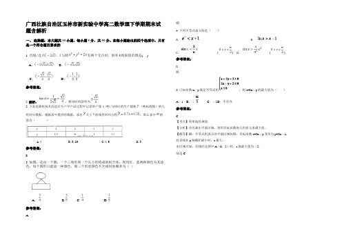 广西壮族自治区玉林市新实验中学高二数学理下学期期末试题含解析