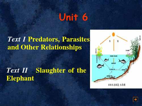 新编英语教程4 unit6