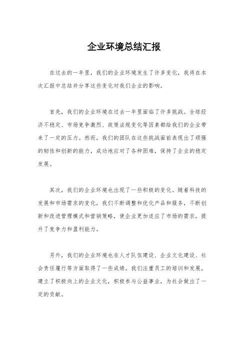 企业环境总结汇报