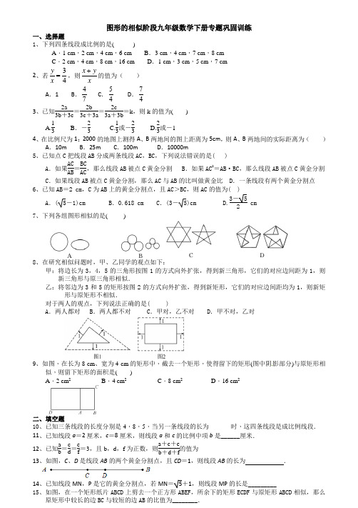 19.第6章图形的相似九年级数学下册专题巩固训练含答案