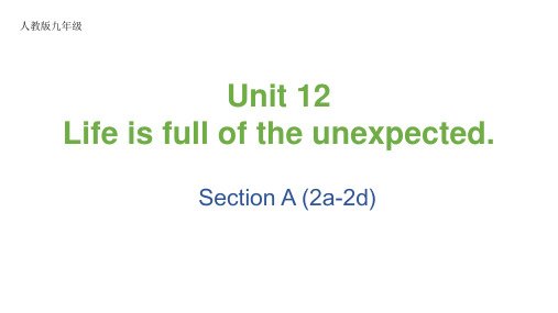 Unit12SectionA2a-2d课件人教版九年级英语全册