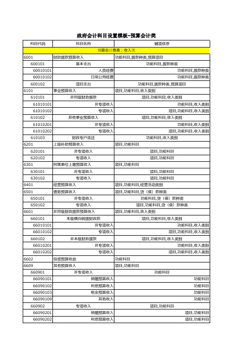 2019年新会计制度—政府会计科目设置模板(预算会计类)