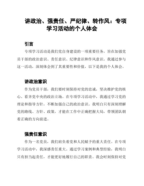 讲政治、强责任、严纪律、转作风：专项学习活动的个人体会