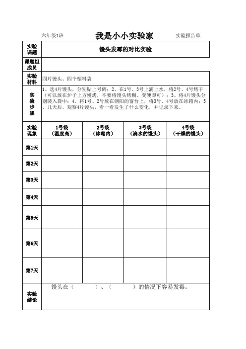 馒头发霉的对比实验