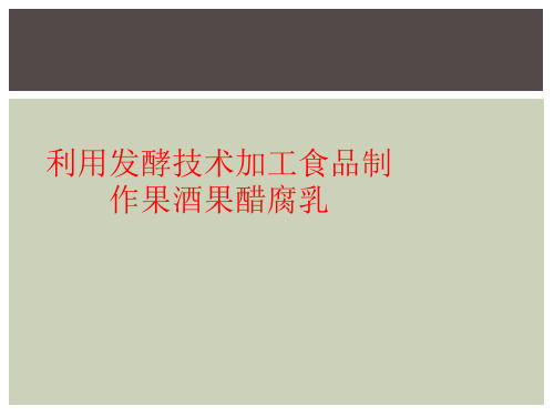 利用发酵技术加工食品制作果酒果醋腐乳