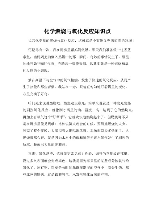 化学燃烧与氧化反应知识点