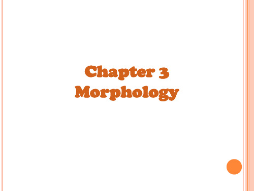 语言学chapter 3