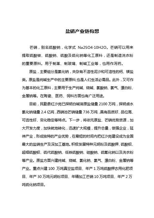 盐硝产业链构想示意图及项目简介