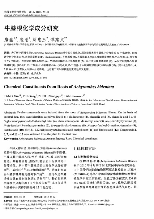 牛膝根化学成分研究