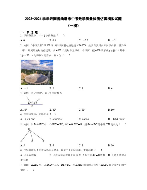 2023-2024学年云南省曲靖市中考数学质量检测仿真模拟试题合集2套(含解析)