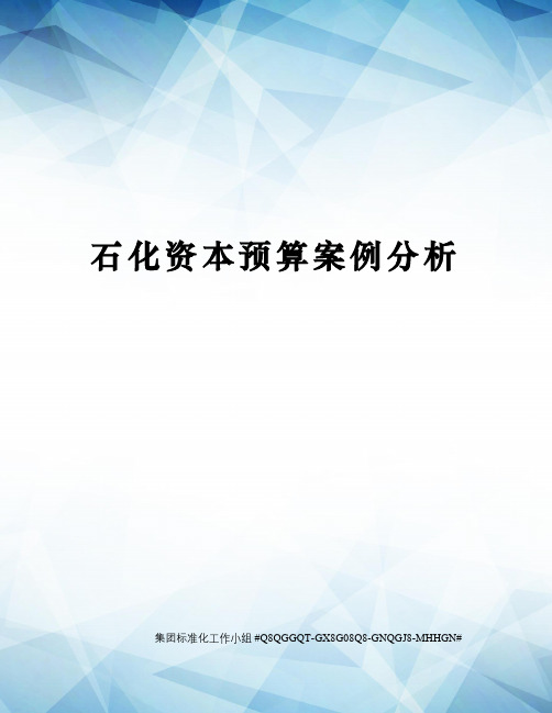 石化资本预算案例分析