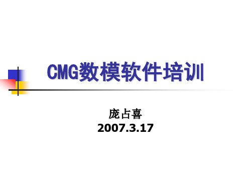 CMG数模软件的使用资料