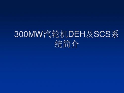 300MW机组介绍DEHSCS